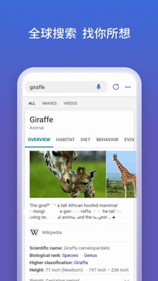 必应搜索app