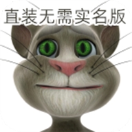 会说话的汤姆猫最老版本2010版