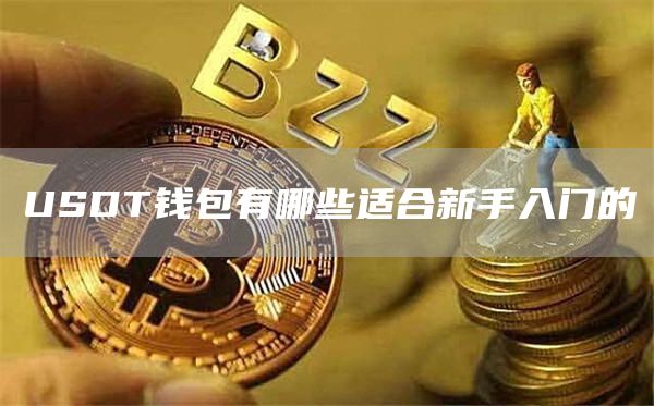 USDT钱包有哪些适合新手入门的