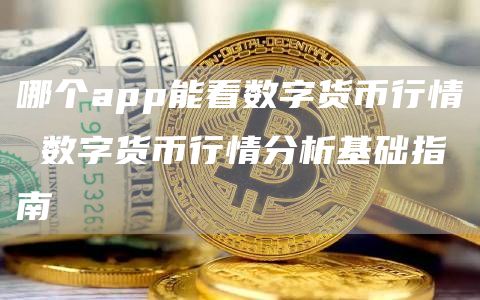 哪个app能看数字货币行情 数字货币行情分析基础指南